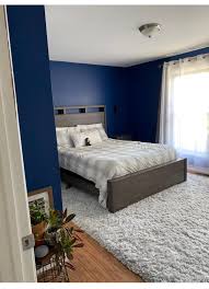 Painter and Decorator: Image 4
